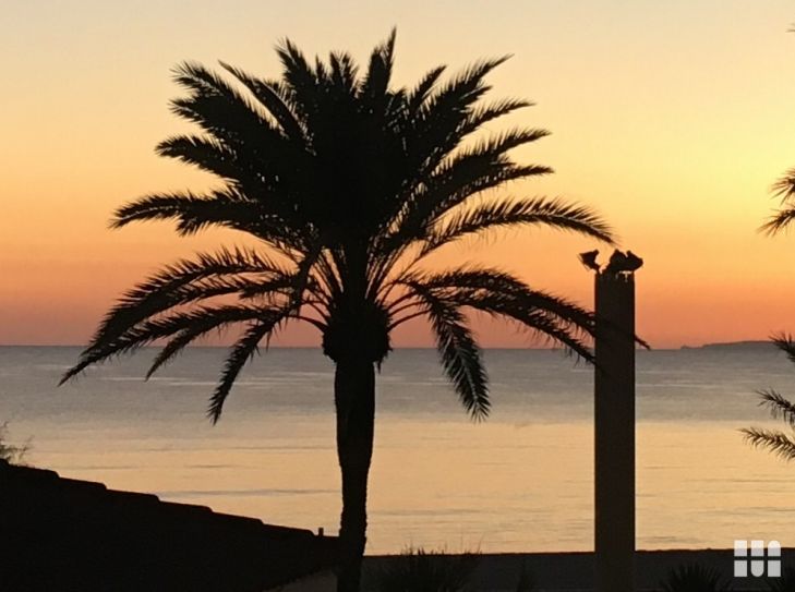 Familienurlaub in Cala Ratjada auf Mallorca