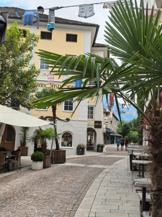 original 522617019 1328367975957629 203995564134720807 n