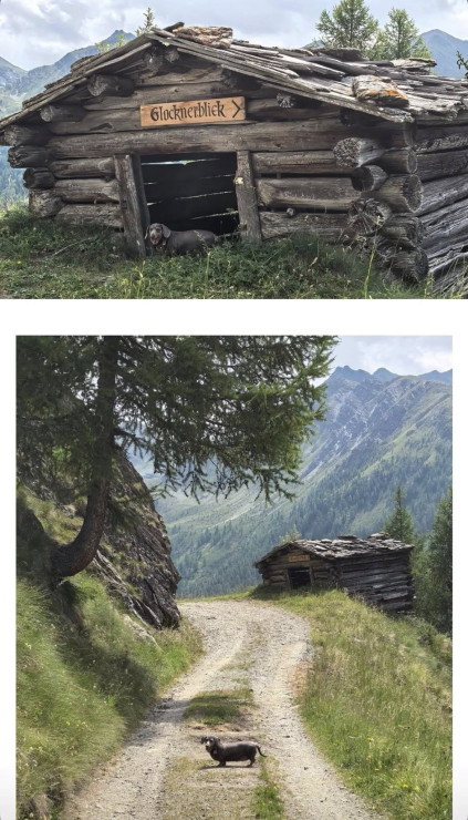 original 523825651 1327523026042124 5379993354103026824 n