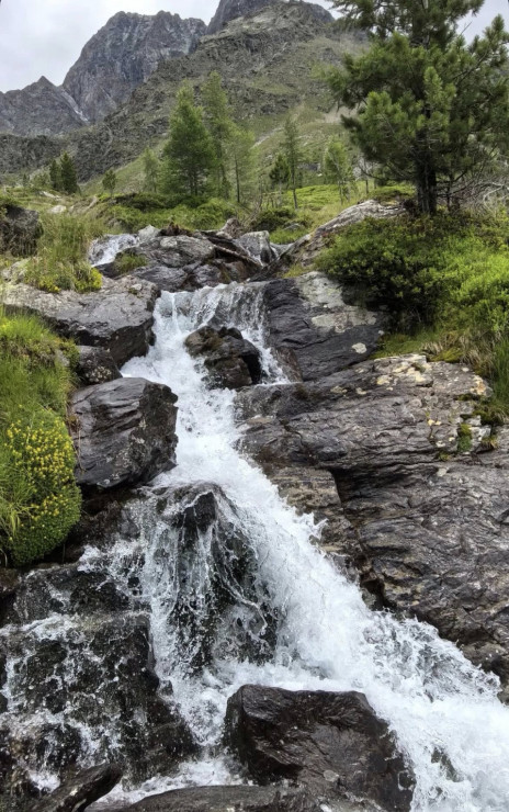 original 524421323 1330288975765529 7452560555941020798 n