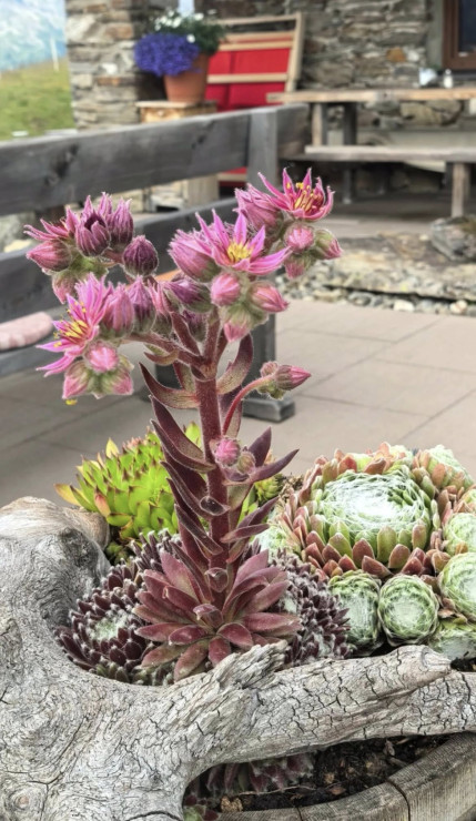 original 524654762 1327523016042125 5244763881554825103 n