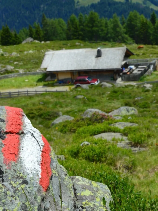 original 526526822 17951099537990812 6074813969683984137 n