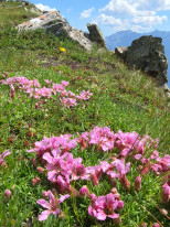 original 521541141 1323908123070281 3429932840932627783 n