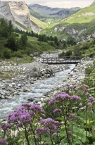 original 522686595 1326464246148002 9131072380773483272 n