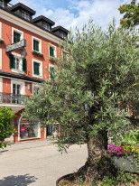 original 525339274 1328368042624289 7910134820687242100 n