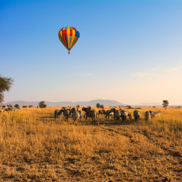 Reisen, die für immer beiben!