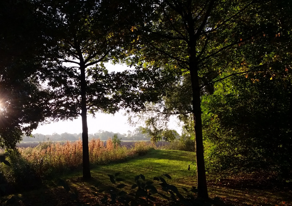 Bild von Familienurlaub im Center Parc Tossens