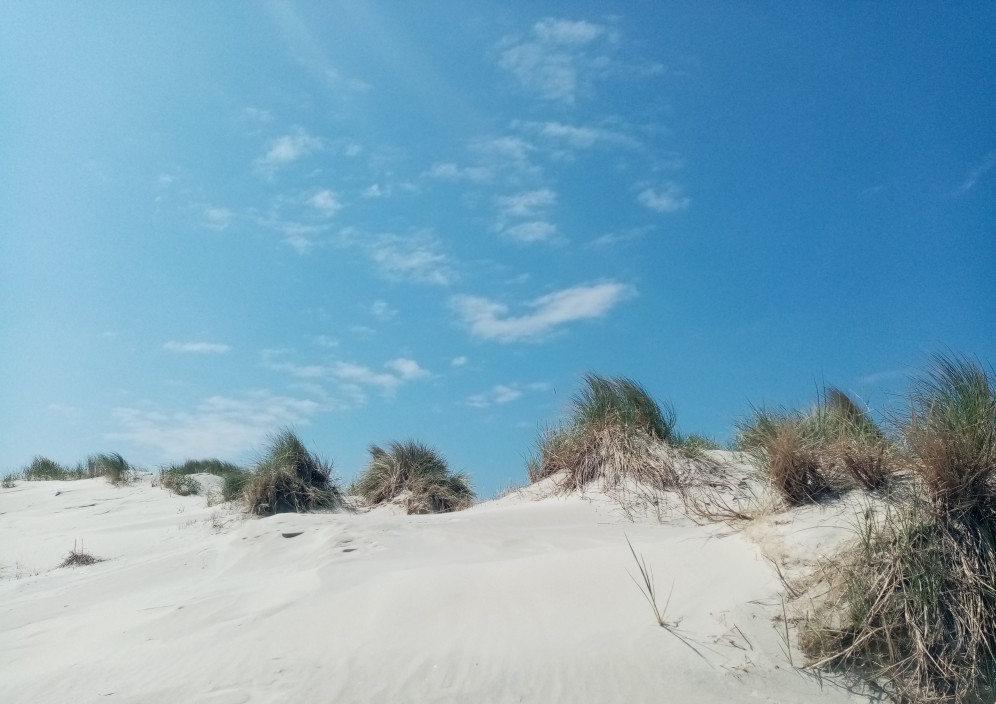 Bild von Amrum